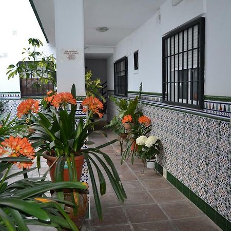 Апартаменти Nuevo Sueno Del Alcazar Кордова Екстер'єр фото