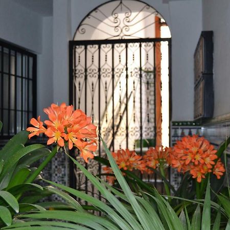 Апартаменти Nuevo Sueno Del Alcazar Кордова Екстер'єр фото